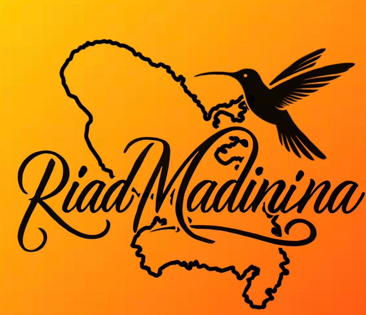 Riad Madinina Марракеш Екстер'єр фото